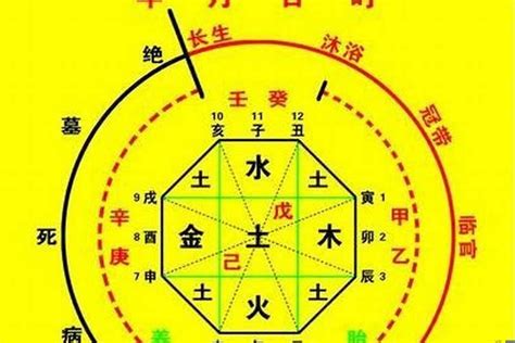 用神意思|八字用神是什么？调候、通关、扶抑、格局用神区别